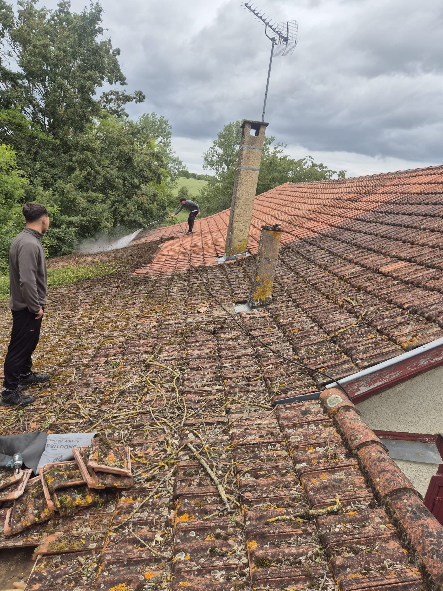 Toiture en tuiles envahie par la mousse avant intervention